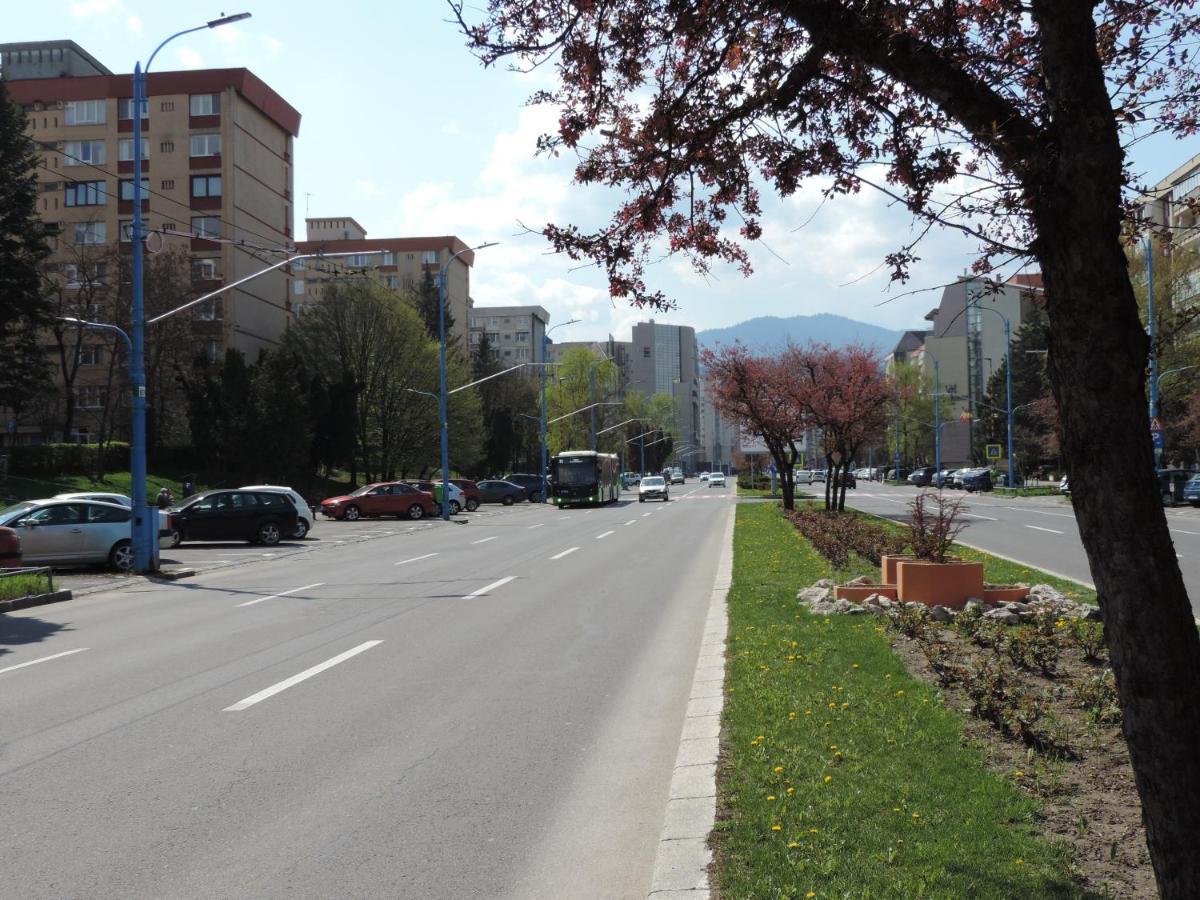 Victoriei Boulevard Private Apartment Brasov Exterior photo